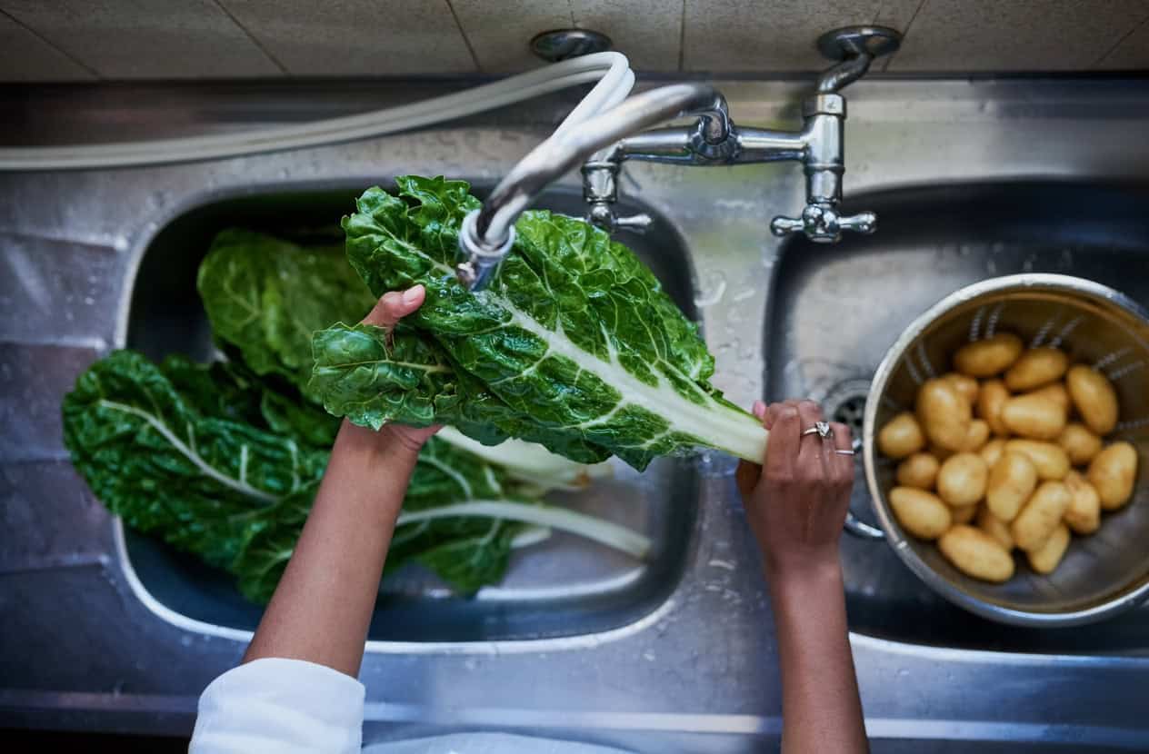 Cropped shot of a woman rinsing spinach in a kitchen sink at home