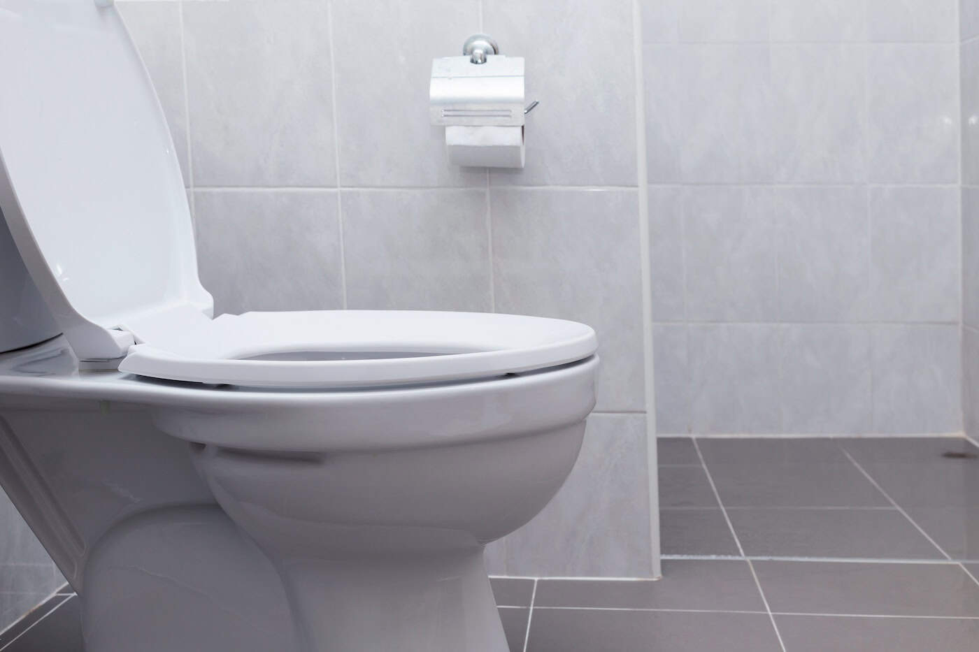 White Flush Toilet In Modern Bathroom Interior