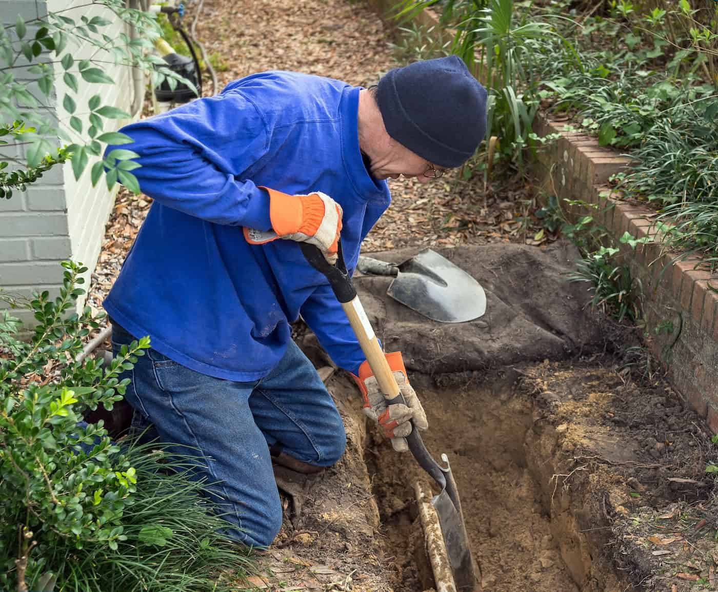 Man Digging Trench To Replace Sewer Line Pipes And Lawn Sprinkler System