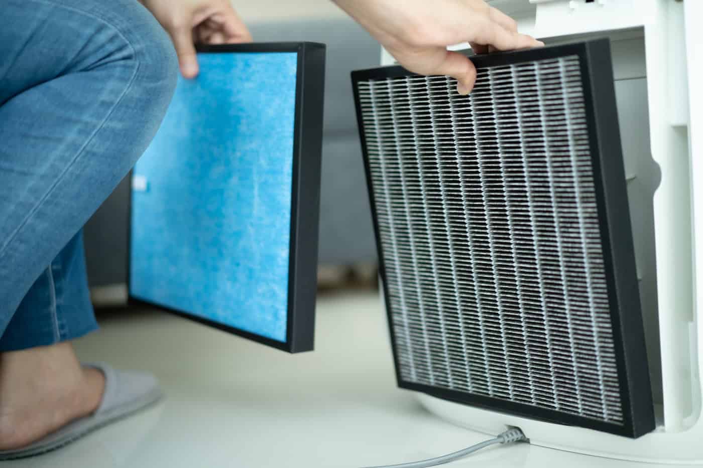 Beautiful Asian Young Woman Holding A Hepa Carbon Air Purifier Filter In Living Room.