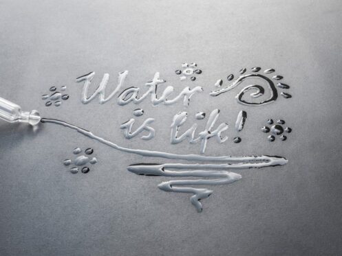 water is life graphic