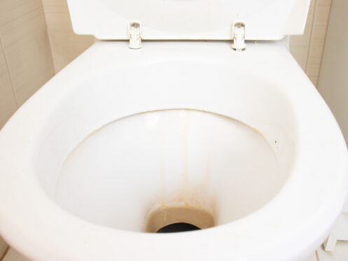 rust-stains-toilet