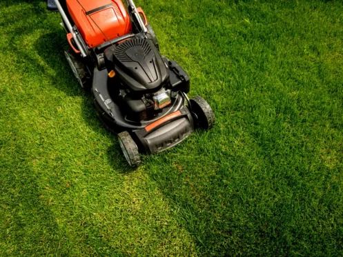 yard-work-mowing-the-lawn